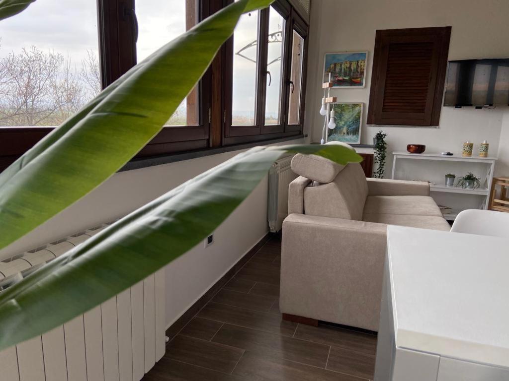 Villa Rosella Appartamento 2 - Con Piscina - 150 M Dal Mare Casa Margherita Eksteriør billede